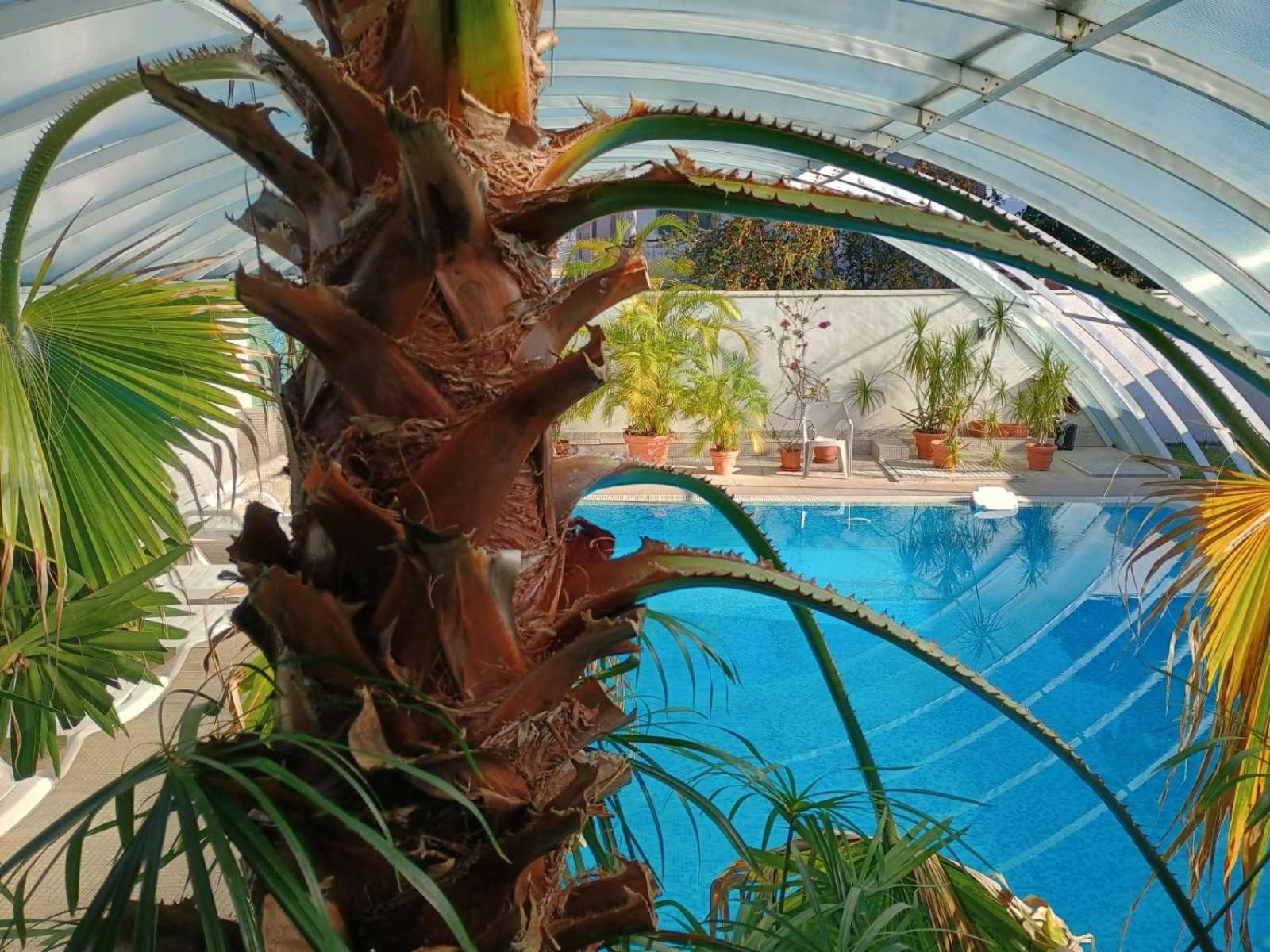 Enis Hotel С Минерален Басейн Sapareva Banya Bagian luar foto